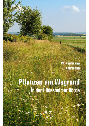 Pflanzen am Wegrand in der Hildesheimer Börde