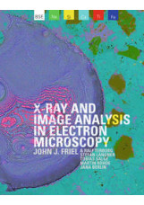 X-ray and Image Analysis in Electron Microscopy