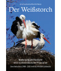 Der Weißstorch. Niedergang und Rückkehr einer nordwestdeutschen Population