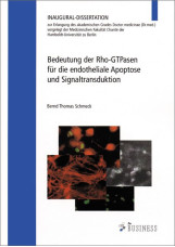 Bedeutung der Rho-GTPasen für die endotheliale Signaltransduktion