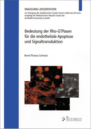 Bedeutung der Rho-GTPasen für die endotheliale Signaltransduktion