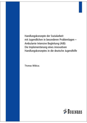 Handlungskonzepte der Sozialarbeit mit Jugendlichen in besonderen Problemlagen –