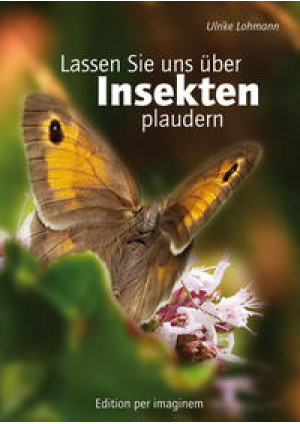 Lassen Sie uns über Insekten plaudern