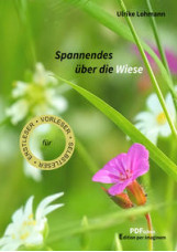 Spannendes über die Wiese