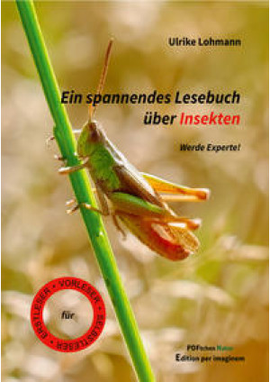 Ein spannendes Lesebuch über Insekten