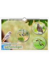 Dauer-Kalender 