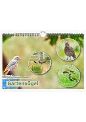 Dauer-Kalender 