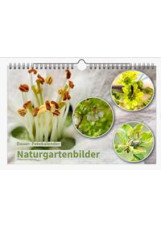 Dauer-Kalender: 