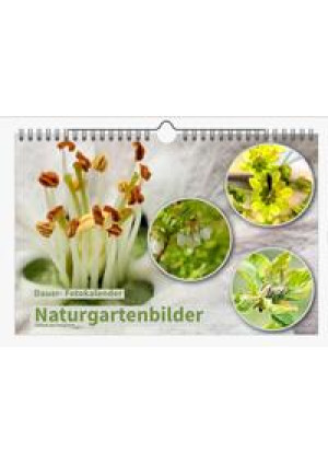 Dauer-Kalender: 