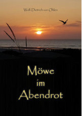 Möwe im Abendrot