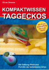 Kompaktwissen Taggeckos