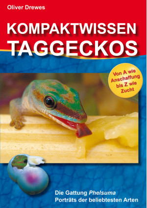 Kompaktwissen Taggeckos