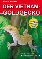 Der Vietnam Goldgecko