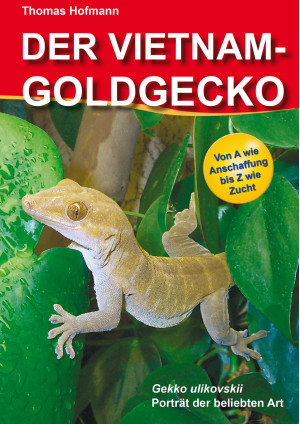 Der Vietnam Goldgecko