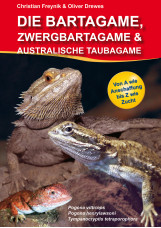 Die Bartagame, Zwergbartagame & Australische Taubagame