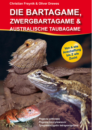 Die Bartagame, Zwergbartagame & Australische Taubagame