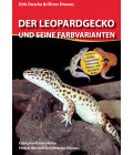 Der Leopardgecko und seine Farbvarianten