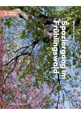 Spaziergang im Frühlingswald.