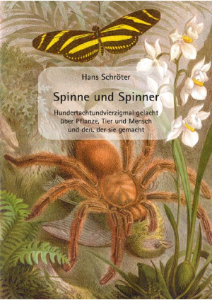 Spinne und Spinner