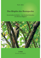 Das Klopfen des Buntspechts